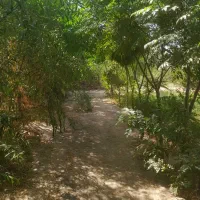 فروش باغ انار ۱۵۰۰متر در گلحصار شهرری