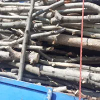 حرص وبرش کاری چ وب|خدمات باغبانی و درختکاری|خزل, |دیوار