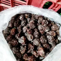 آلوچه سیاه مراغه