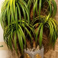 گل مصنوعی
