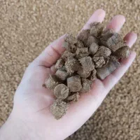 فروش خوراک دام وگاباس نیشکر همراه با آنالیز