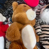 اسباب‌بازی|اسباب‌بازی بچه|پرند, فاز ۶|دیوار