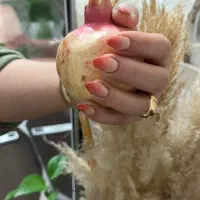 کاشت ناخن ترمیم ژلیش|خدمات آرایشگری و زیبایی|شیراز, شهرک بزین|دیوار