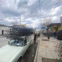 نرده حفاظ رودیواری شاخ گوزنی آژینه|مصالح و تجهیزات ساختمان|کرمانشاه, |دیوار