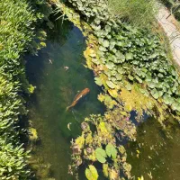 باغ تالار پذیرایی نامزدی عقد تولد مهمانی