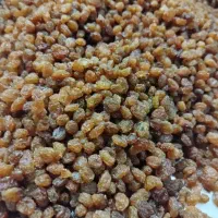 کشمش درجه ۱