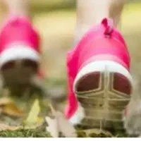 راهنمایی و مشاوره میخام