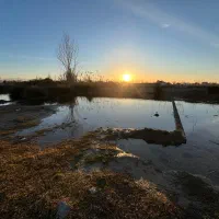 زمین-سنددار-بابلسر-اوکسر