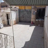 ویلایی-شکار-تعداد