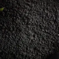 ازدواج ۳۵۰ملیونی