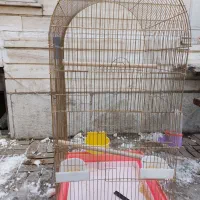 قفس بزرگ مناسب عروس هلندی و کاسکو
