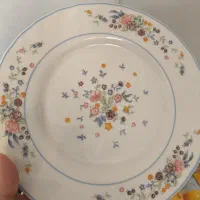 آرکوپال ویکتوریا