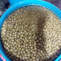 زیتون|خوردنی و آشامیدنی|طارم (زنجان), |دیوار