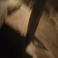 دو تخته فرش ۴متری ویک میز استیل با چهار صندلی|فرش|تهران, صفا|دیوار