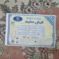 فرش امیرزاده دو تخته فرش 12 متری مشهد|فرش|مشهد, شاهد (شهرک غرب)|دیوار