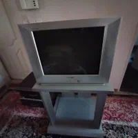 تلوزیون