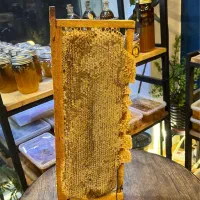 عسل درمانی ۱۰۰٪ طبیعی و ارگانیک|خوردنی و آشامیدنی|سهند, |دیوار