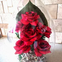 گل شیشه ایی زیبا
