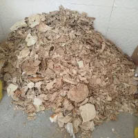 نان خشک دام