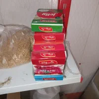 اجناس و غیره|مواد شوینده و دستمال کاغذی|گوگان, |دیوار