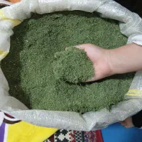 7کیلو شوت سبز برای فروش