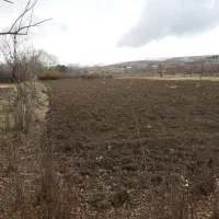 زمین|فروش زمین و ملک کلنگی|بروجرد, |دیوار