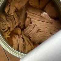 کنسرو ماهی ۱۸۰ گ ماچله جنوب و مهر ستاره جنوب|خوردنی و آشامیدنی|شیراز, شهرک کوثر|دیوار