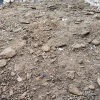 کد گوسفندی|خدمات باغبانی و درختکاری|کاشان, لتحر|دیوار