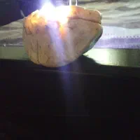 گوهرشبچراغ