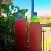 ترشی خانگی و آبغوره ۱۶۰|خوردنی و آشامیدنی|مشکیندشت, |دیوار