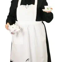 خدمتکار ،نظافتچی،جویای کار،پاره وقت،نظافت