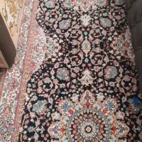 فرش و کناره فرش|فرش|سنندج, |دیوار