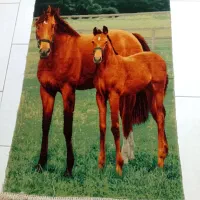 تابلو فرش دستبافت زیبا