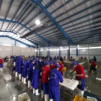 دعوت به همکاری آیدا گستر ایرانیان