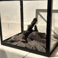 اکواریوم بزرگ