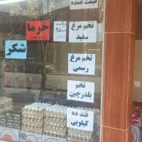 پخش تخم مرغ مهدویان(عمده.جزئی)