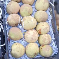 به مربای و خشک کردنی و چای یکجا  25. تومن