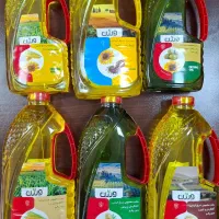 استخدام ویزیتور