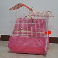 قفس پرنده|لوازم جانبی حیوانات|رشت, پل تالشان|دیوار