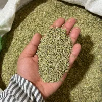 پخش عمده تخم گشنیز اعلا و رازیانه سبز اعلا وغیره|خوردنی و آشامیدنی|تهران, تهرانسر شمالی|دیوار