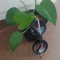 عینک گلها ورق بزن