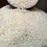 ۲۰۰کیلو برنج هاشمی با کیفیت