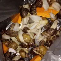 فروش حلزون آچاچینا|خزنده|قدس, شهرقدس|دیوار