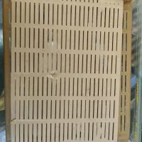 آکواریوم 1 متری|ماهی|تبریز, |دیوار