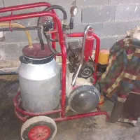 شیردوش دو واحد ترک صحیح وسالم