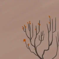 دبیر ادبیات و علوم و فنون ادبی