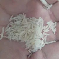 برنج پاکستانی رویال باسماتی|خوردنی و آشامیدنی|سنندج, |دیوار