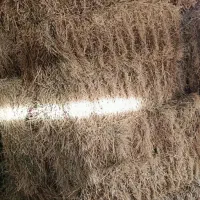 یونجه|لوازم جانبی حیوانات|لالجین, |دیوار