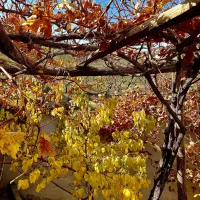 ویلایی کرمجگان|فروش خانه و ویلا|کهک, |دیوار