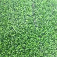 چمن مصنوعی ۲۵میل آسیا